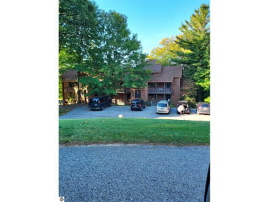 Lake Condo For Sale in Bellaire, Michigan