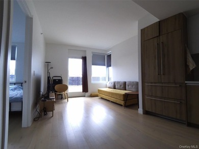 Experience luxury living in Downtown Flushing in this spacious - photo 3