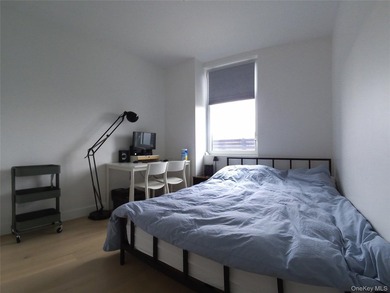 Experience luxury living in Downtown Flushing in this spacious - photo 4