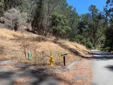 Exclusive Resort Living: Lot with Home Plans! Start with - photo 2