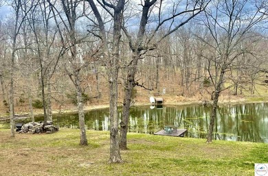 Enjoy peaceful lake living in this bright and beautiful home - photo 12