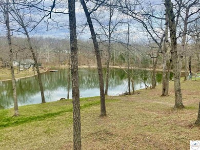Enjoy peaceful lake living in this bright and beautiful home - photo 13