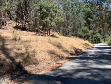 Exclusive Resort Living: Lot with Home Plans! Start with - photo 4