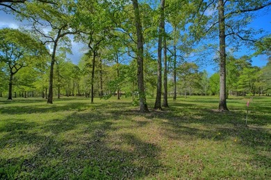 Discover your waterfront oasis in the peaceful Fairmount - photo 29