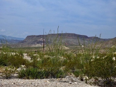 Over 3 acres in Comanche Mesa, Lajitas overlooking the famous - photo 9