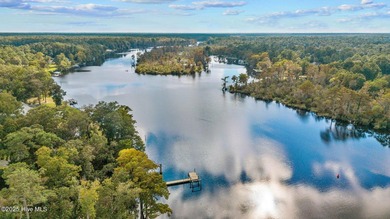 WOODED HIGH-ELEVATION TRENT RIVER HOME. This exceptional - photo 42