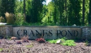 Cranes Pond Lot For Sale in Richland Michigan