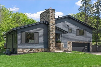 Lake Home For Sale in Excelsior, Minnesota