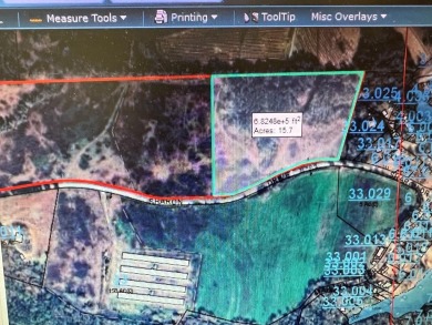 Lake Eufaula / Walter F George Reservoir Acreage For Sale in Abbeville Alabama