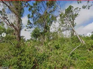 VERY AFFORDABLE LOT!! . Beautifully Area...Nice .23 acre high - photo 5