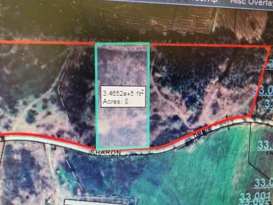 Lake Eufaula / Walter F George Reservoir Acreage For Sale in Abbeville Alabama