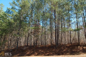 The largest off water lot in Eagle View Subdivision with 1.38 - Lake Lot For Sale in Greensboro, Georgia