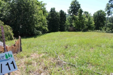  Lot For Sale in Eddyville Kentucky