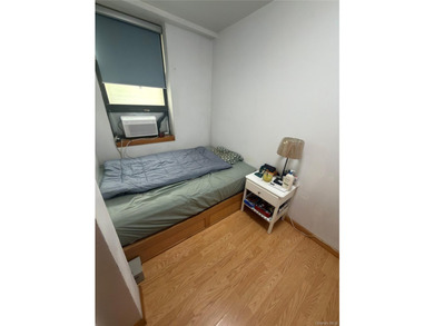 Experience timeless Brooklyn charm with modern city convenience - photo 5