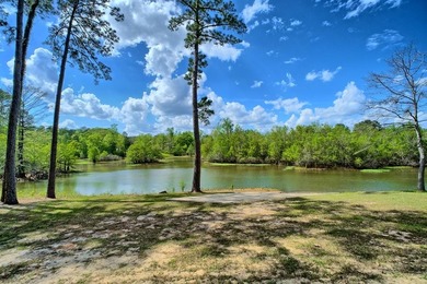 Waterfront living at its best on Toledo Bend Reservoir in the - photo 12