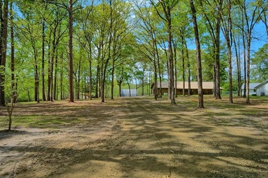 Waterfront living at its best on Toledo Bend Reservoir in the - photo 18