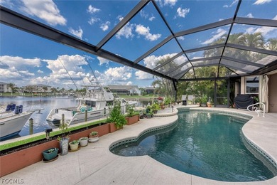 Expansive Open Water Views, 100 Ft Seawall, New Dock, PGI - photo 23