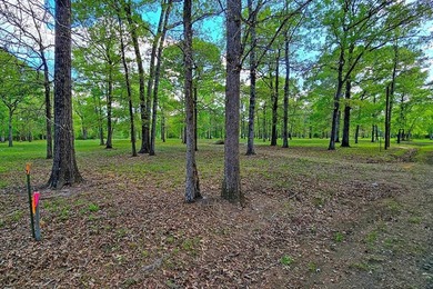 Waterfront living at its best on Toledo Bend Reservoir in the - photo 24