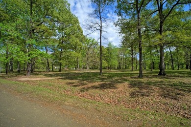 Waterfront living at its best on Toledo Bend Reservoir in the - photo 25