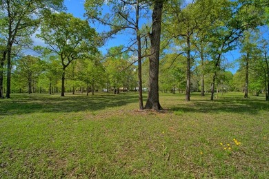 Waterfront living at its best on Toledo Bend Reservoir in the - photo 27