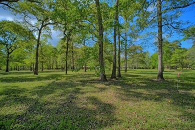 Waterfront living at its best on Toledo Bend Reservoir in the - photo 29