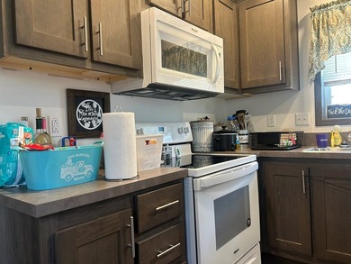 One owner move-in ready 2021 Eagle River Chesapeake 2 bedroom 1 - photo 30
