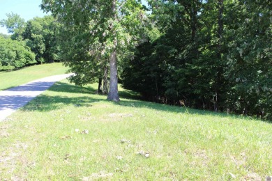  Lot For Sale in Eddyville Kentucky