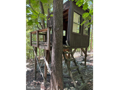 Rare 4-acre opportunity in Sleepy Hollow! Adjoining 2-acre lot - photo 33