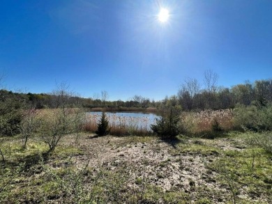 (private lake, pond, creek) Acreage Sale Pending in Berrien Springs Michigan