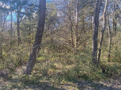 Lake Texoma Lot For Sale in Pottsboro Texas