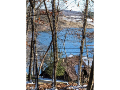 LAKE VIEW LOT !!!! SEPTIC APPROVED !!!  Very nice POINT LOT - Lake Lot Sale Pending in Millersburg, Ohio