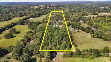 (private lake, pond, coastal) Acreage For Sale in Red Banks Mississippi