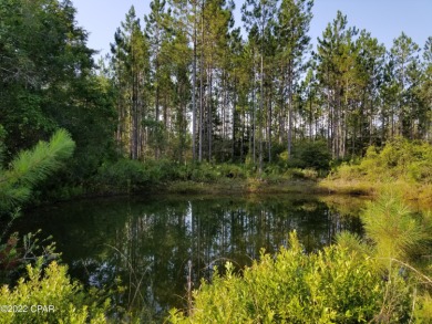 (private lake, pond, creek) Acreage For Sale in Altha Florida