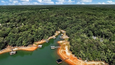 Discover this lakeside retreat offering tranquility and lake - photo 47