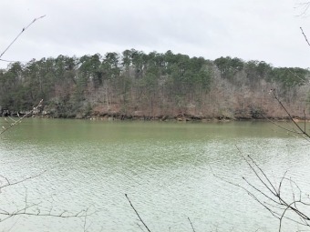 Smith Lake - Clear Creek Waterfront Lot - Lake Lot For Sale in Jasper, Alabama