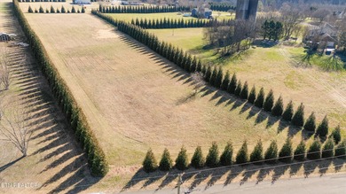 Holston River - Grainger County  Acreage For Sale in Rutledge Tennessee