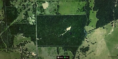 (private lake, pond, coastal) Acreage For Sale in Saltillo Texas