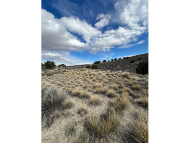 South Fork Reservoir Acreage For Sale in Spring Creek Nevada