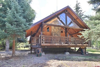 (private lake, pond, creek) Home For Sale in Molina Colorado