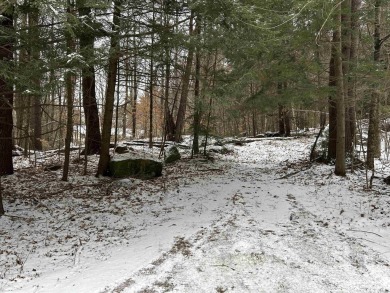 Lake Lot For Sale in Swanzey, New Hampshire