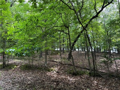 White River Lot For Sale in Lakeview Arkansas