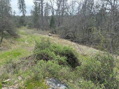 (private lake, pond, coastal) Commercial For Sale in North Fork California