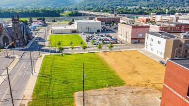 Susquehanna River - Clinton County Commercial For Sale in Williamsport Pennsylvania