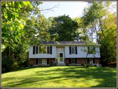 Paulinskill Lake Home For Sale in Stillwater Twp. New Jersey