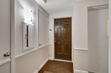 Experience the pinnacle of downtown living in this expansive - photo 7