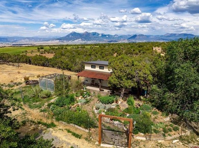 Lake Home For Sale in Crawford, Colorado