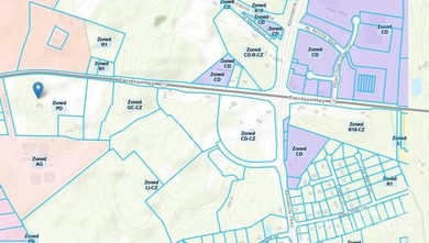 21.95 +/- acres on Hwy 73 in a rapidly developing area. Current - photo 3