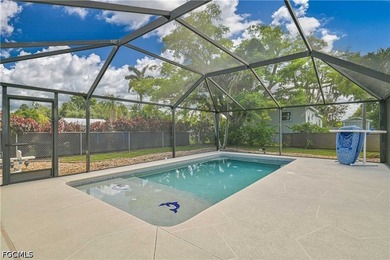 Must-See North Fort Myers Estate on nearly a Half Acre! Gorgeous - photo 6