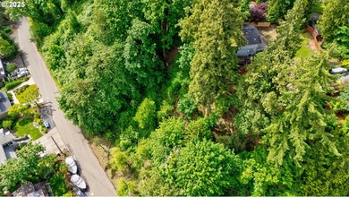 An amazing opportunity to own 0.16-acre lot located right off - photo 7