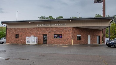 Susquehanna River - Clinton County Commercial For Sale in Williamsport Pennsylvania